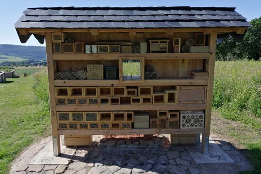 Wildbienenstand Wildbienenstand