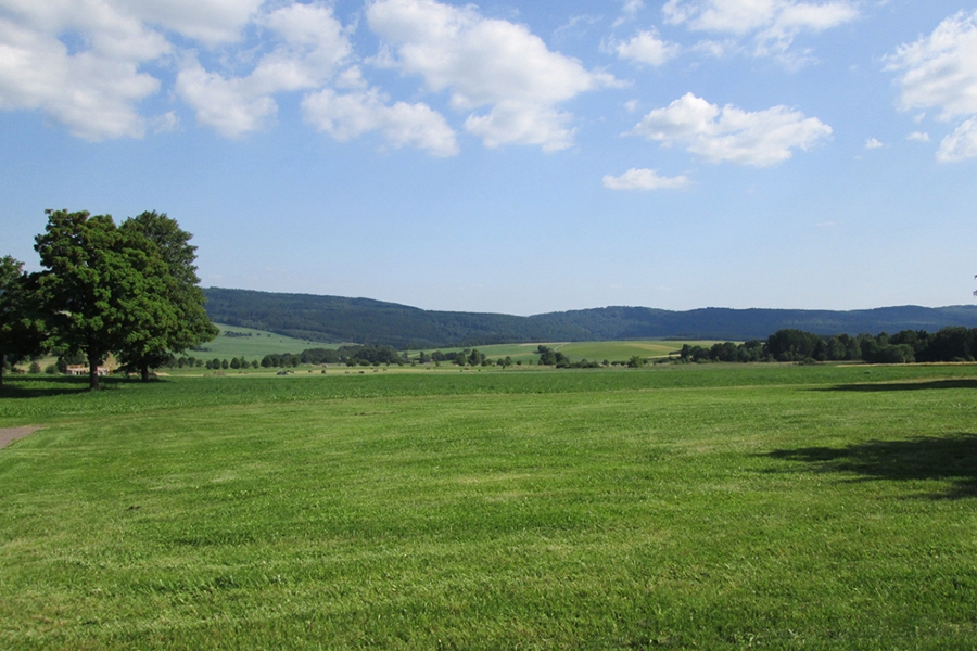 Wiesen, Wälder und Hügel – Landschaft bei Bruchweiler
