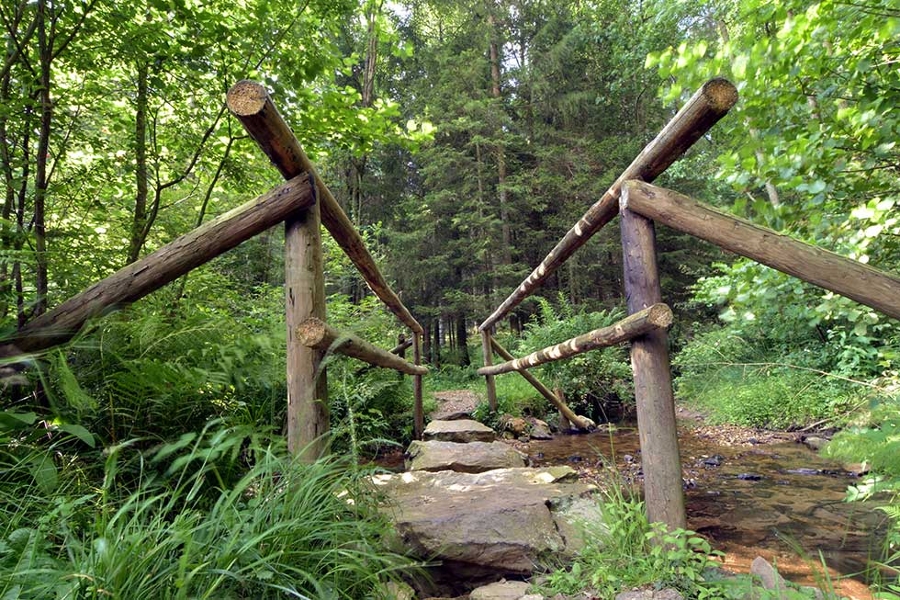 Ein Steg führt über einen kleinen Bach mitten im Wald