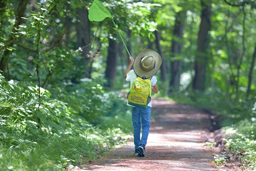 Ein Kind hält ein Blatt in der Hand und läuft einen Waldweg entlang. Ein Kind hält ein Blatt in der Hand und läuft einen Waldweg entlang.
