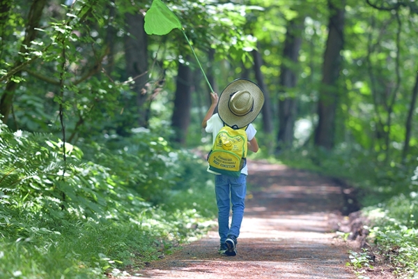 Ein Kind hält ein Blatt in der Hand und läuft einen Waldweg entlang.