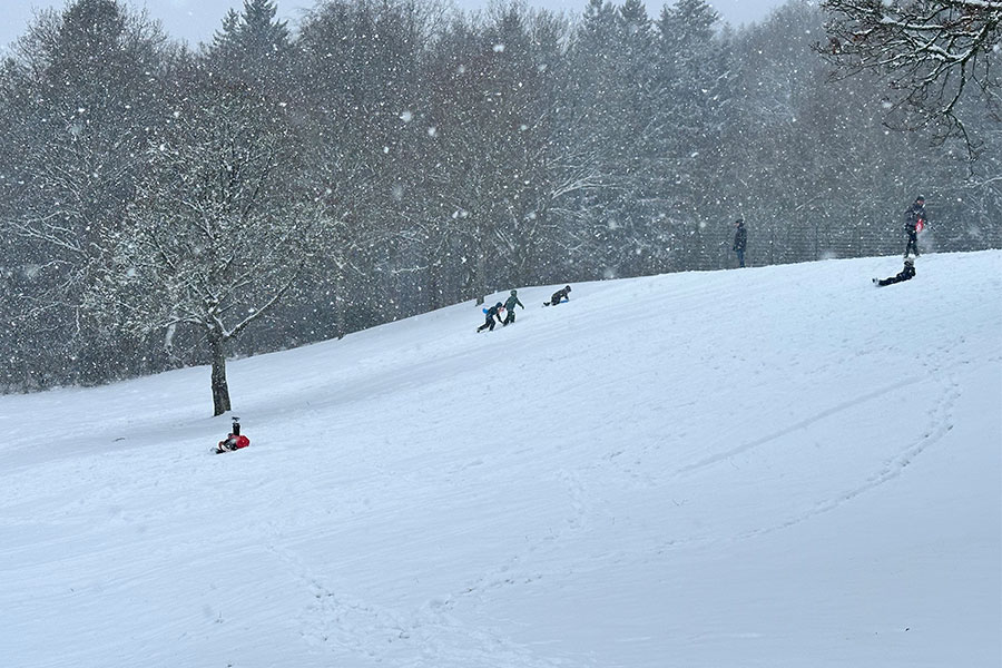 Kinder fahren Schlitten Kinder fahren Schlitten