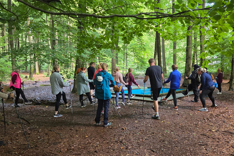 Erwachsene stehen mit Nordic-Walking-Stöcken im Wald Erwachsene stehen mit Nordic-Walking-Stöcken im Wald